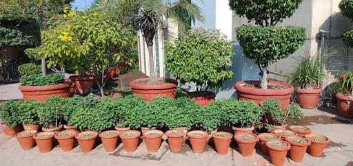 Asia Pacific Institute of Management New Delhi Campus Life photo 39